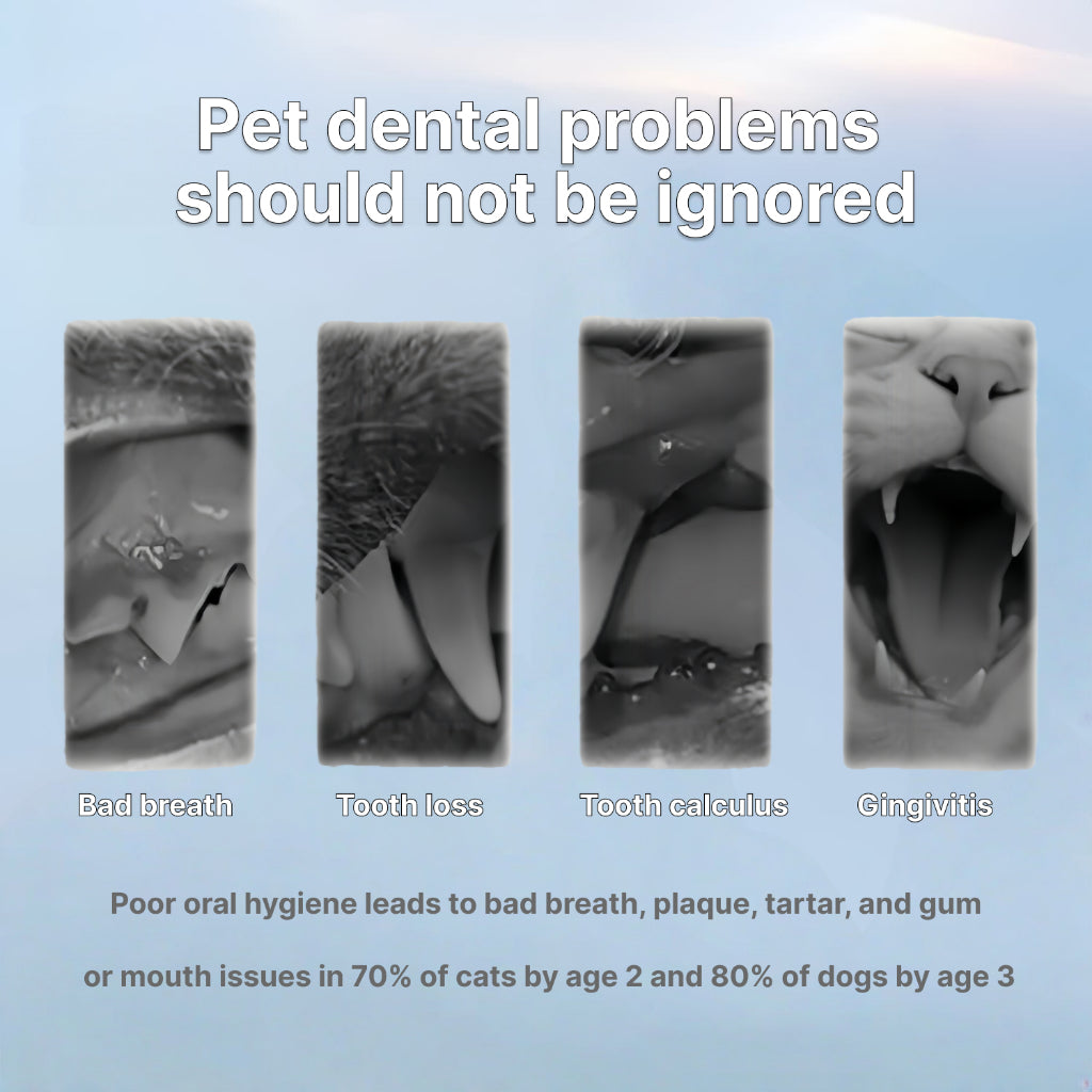 XSDH 60ml Dental Mousse Spray: No-Rinse Teeth Cleaning for Cats & Dogs