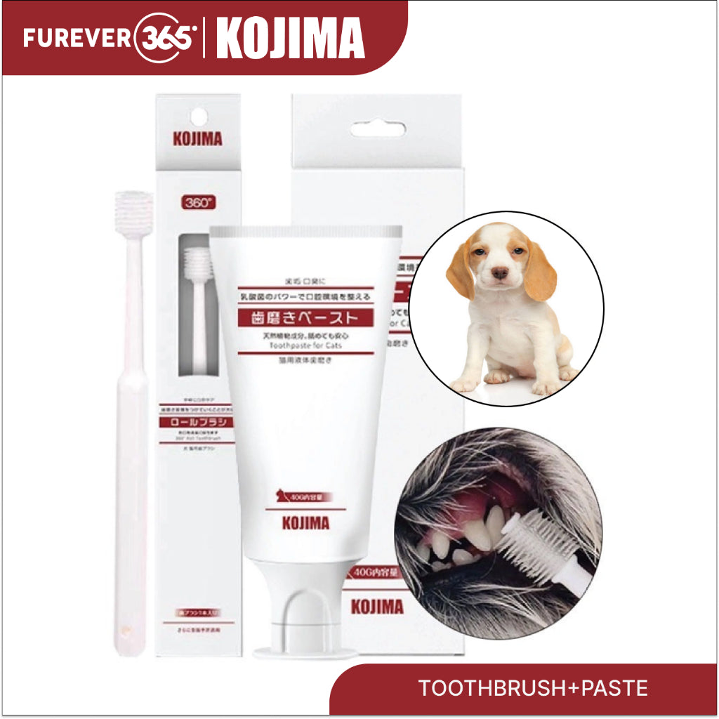 KOJIMA Microfiber Toothbrush & Toothpaste Set: Oral Hygiene for Pets