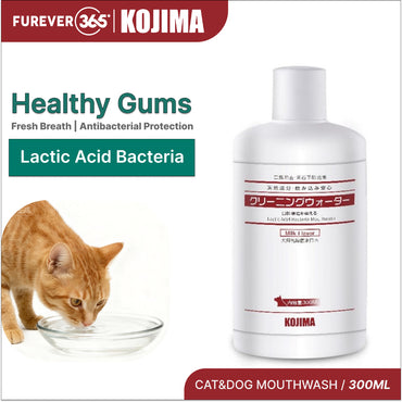KOJIMA 300ml Lactic Acid Mouthwash: Teeth Cleaning & Fresh Breath for Dogs