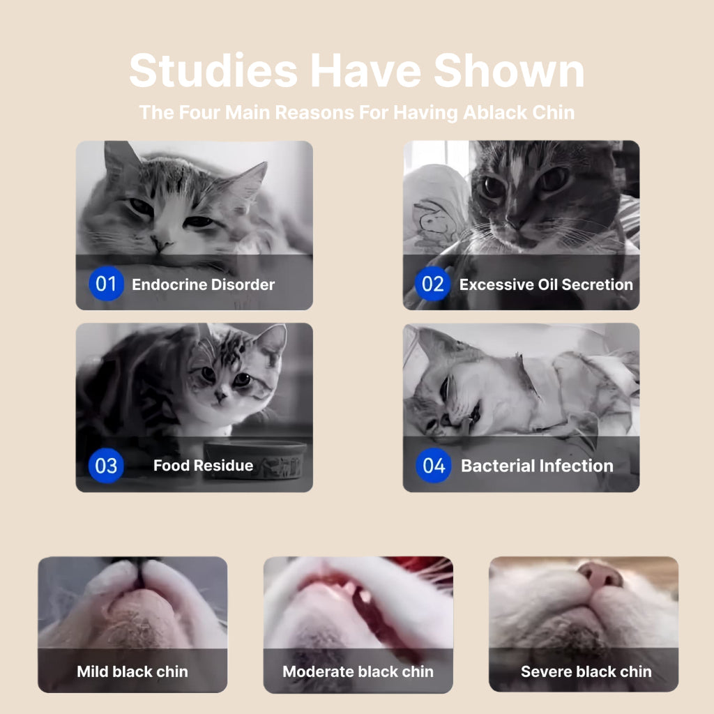 XSDH 120ml Black Chin & Tail Acne Remover: Deep Cleaning Treatment