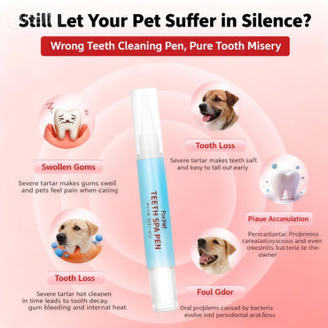 KOJIMA 3-Piece Dental Set: Toothbrush, Paste & Lactic Mouthwash