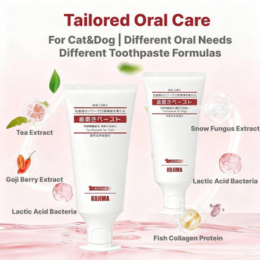 KOJIMA Microfiber Toothbrush & Toothpaste Set: Oral Hygiene for Pets