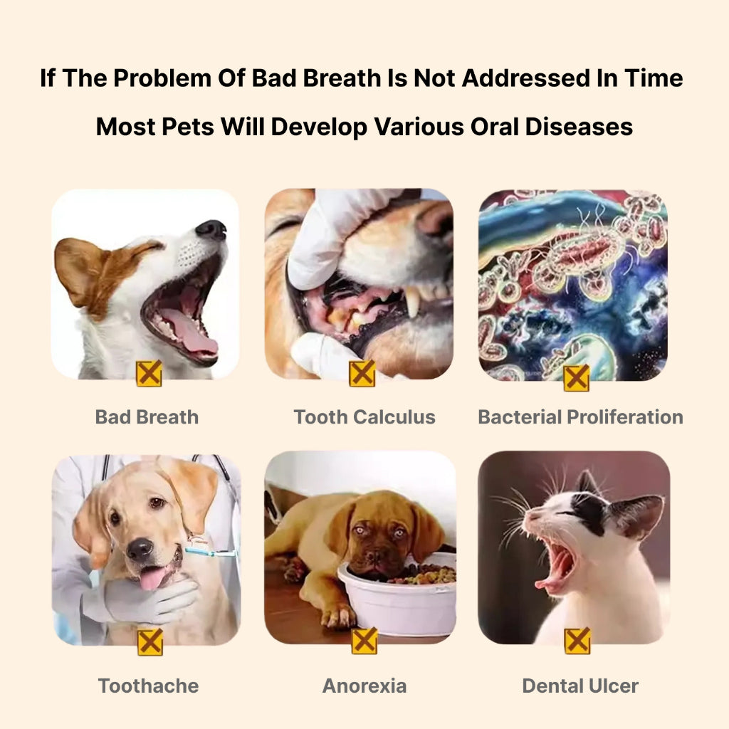 XSDH 250ml Probiotic Dental Water Additive: Fresh Breath & Oral Hygiene