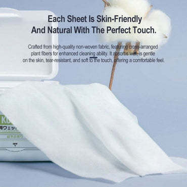 KOJIMA Ag+ Silver Ion Pet Wet Tissue: Antibacterial Wipes for Cats & Dogs 80pcs