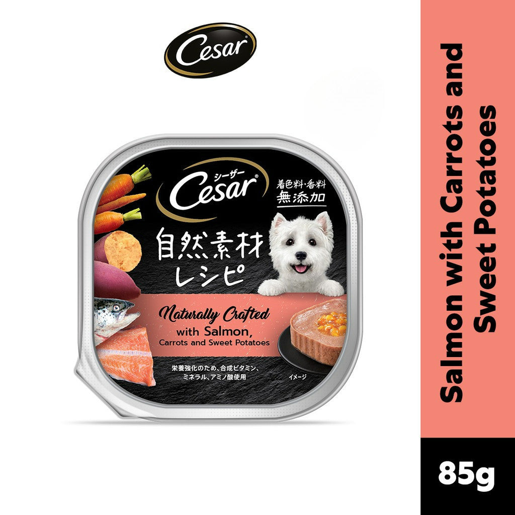 Cesar Naturally Crafted Wet Dog Food Tray - All Flavor 85g Per Pack