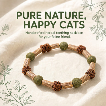 FUREVER365 Rotatable Catnip Ball Cat Toy Natural Silvervine Gall Fruit Molar Chew Toy Teeth Cleaning