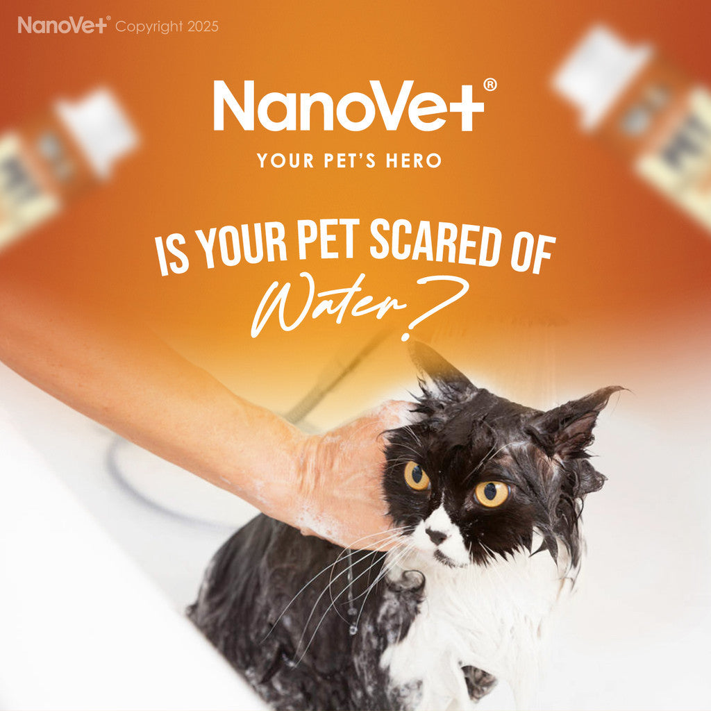 Nanovet® Pet Flea & Tick Powder (80gm)