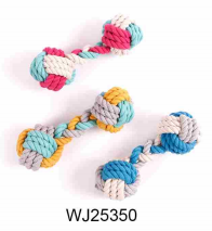 WJ25350
