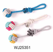 WJ25351