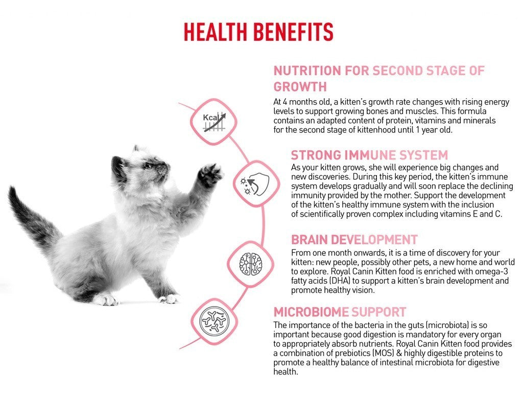 Royal Canin Kitten (2kg) Dry Cat Food Makanan Anak Kucing - Feline Health Nutrition