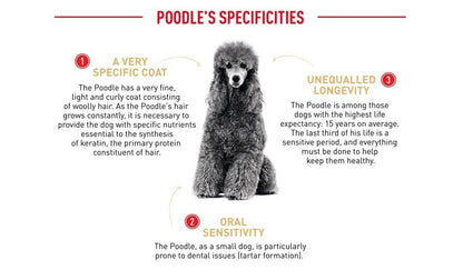 Royal Canin Poodle Adult (3kg) Dry Dog Food Makanan Anjing - Breed Health Nutrition