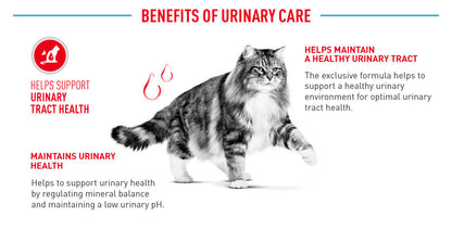 Royal Canin Urinary Care Adult (2kg) Dry Cat Food Makanan Kucing - Feline Care Nutrition