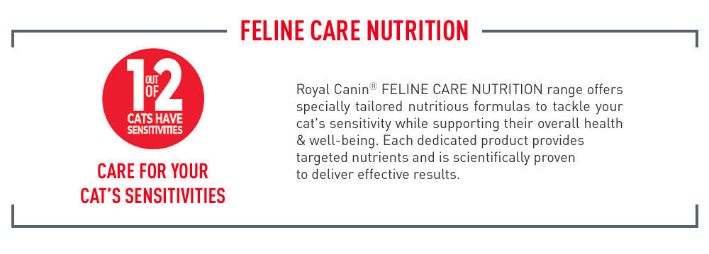 Royal Canin Hair & Skin Care Adult (2kg) Dry Cat Food Makanan Kucing - Feline Care Nutrition