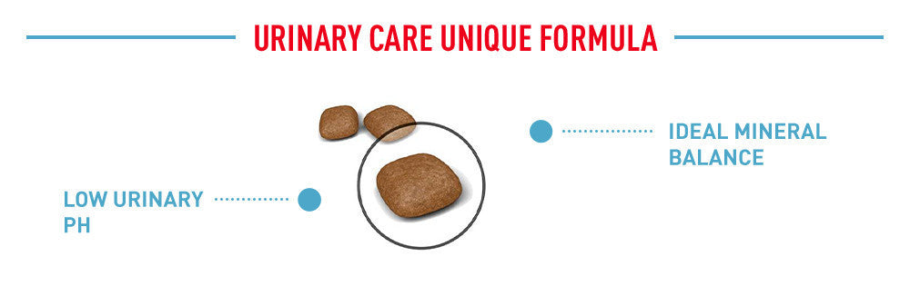 Royal Canin Urinary Care Adult (2kg) Dry Cat Food Makanan Kucing - Feline Care Nutrition