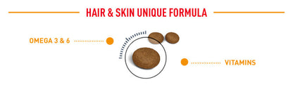 Royal Canin Hair & Skin Care Adult (2kg) Dry Cat Food Makanan Kucing - Feline Care Nutrition