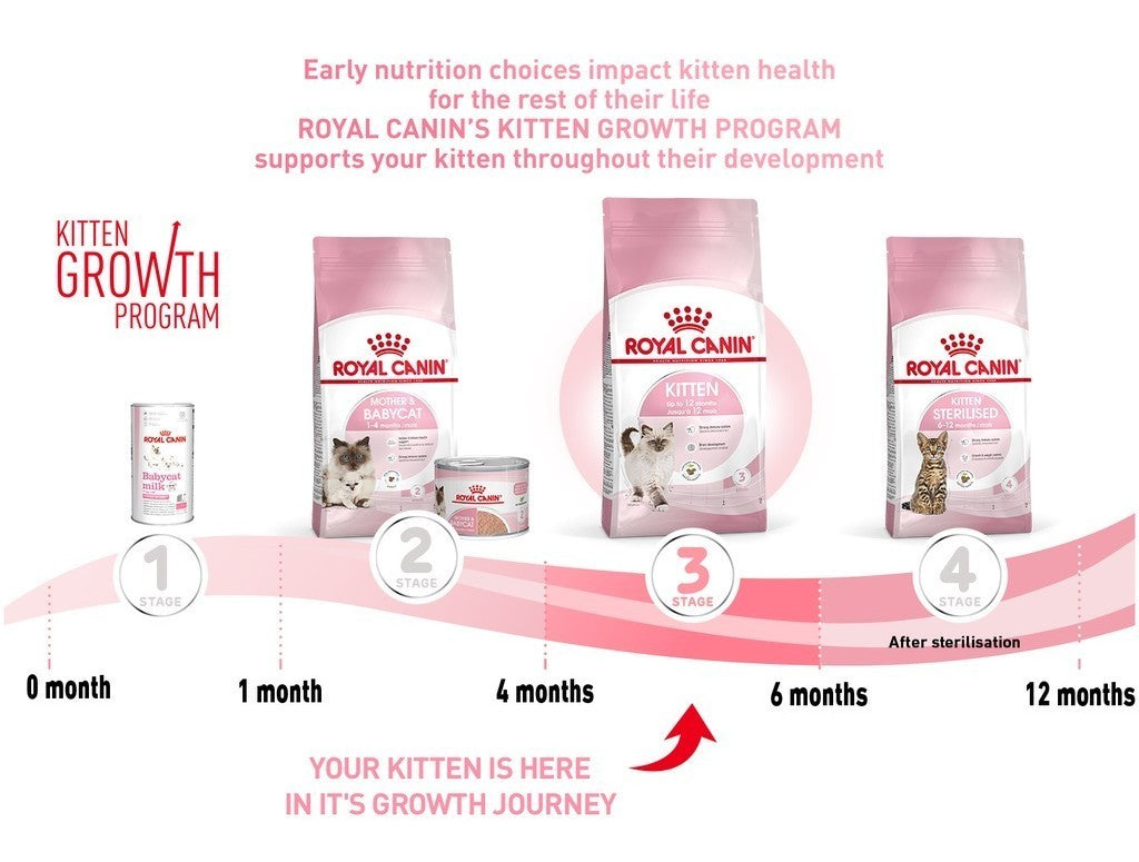 Royal Canin Kitten (2kg) Dry Cat Food Makanan Anak Kucing - Feline Health Nutrition