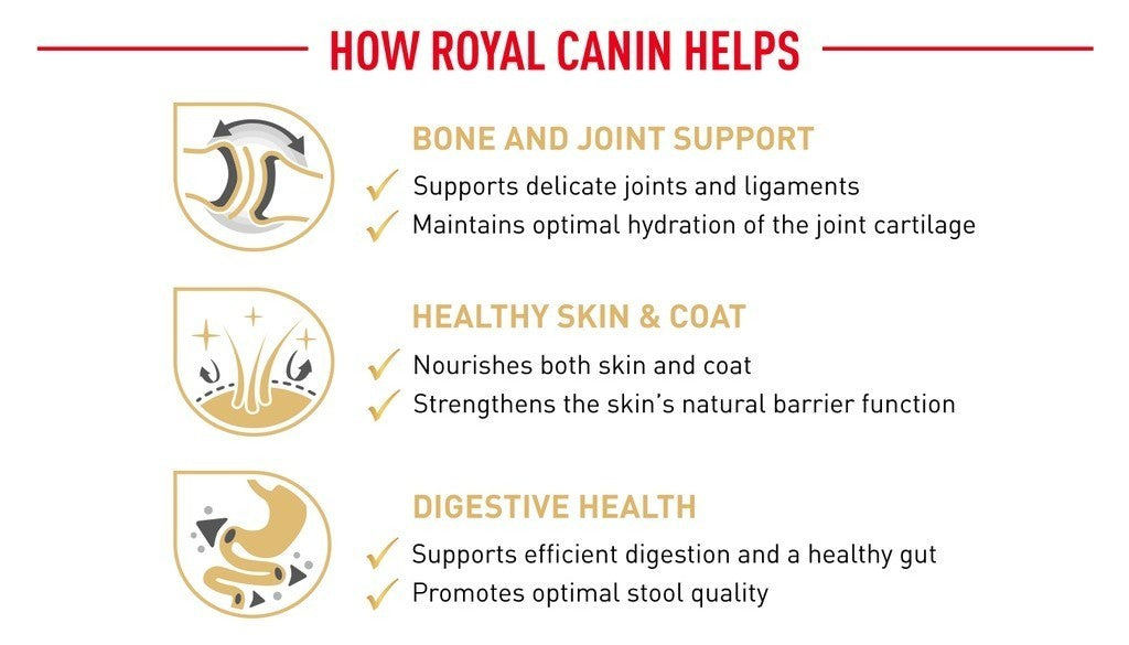 Royal Canin Pomeranian Adult (1.5kg) Dry Dog Food Makanan Anjing - Breed Health Nutrition