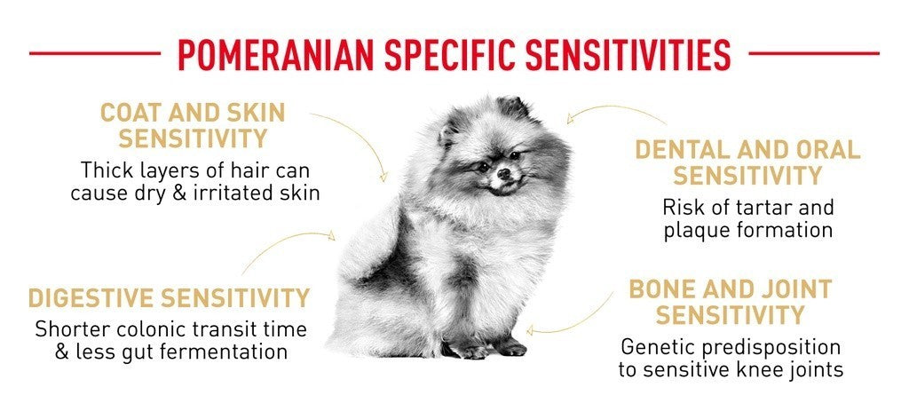 Royal Canin Pomeranian Adult (1.5kg) Dry Dog Food Makanan Anjing - Breed Health Nutrition