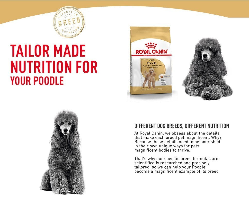 Royal Canin Poodle Adult (3kg) Dry Dog Food Makanan Anjing - Breed Health Nutrition