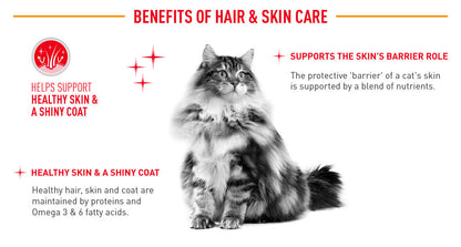 Royal Canin Hair & Skin Care Adult (2kg) Dry Cat Food Makanan Kucing - Feline Care Nutrition