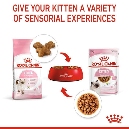 Royal Canin Kitten (2kg) Dry Cat Food Makanan Anak Kucing - Feline Health Nutrition