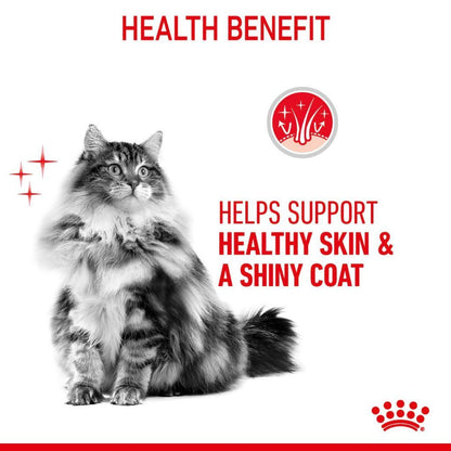 Royal Canin Hair & Skin Care Adult (2kg) Dry Cat Food Makanan Kucing - Feline Care Nutrition