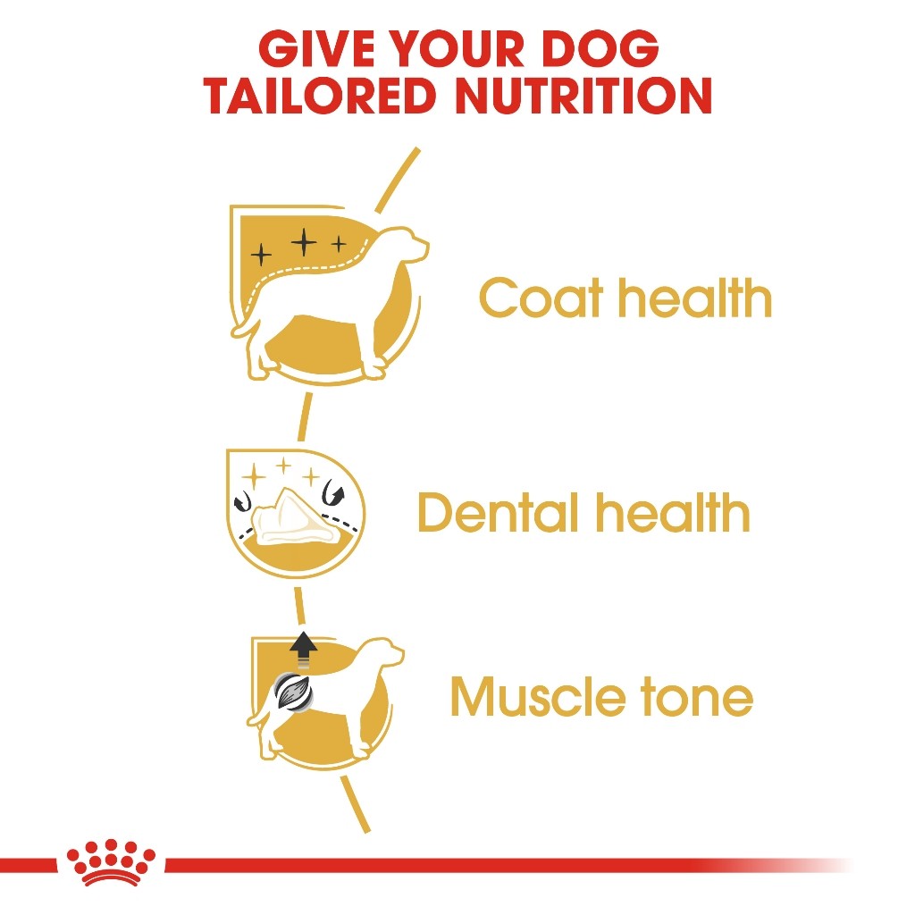 Royal Canin Poodle Adult (3kg) Dry Dog Food Makanan Anjing - Breed Health Nutrition