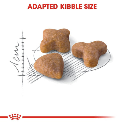 Royal Canin Sensible 33 Adult (400g) Dry Cat Food Makanan Kucing - Feline Health Nutrition
