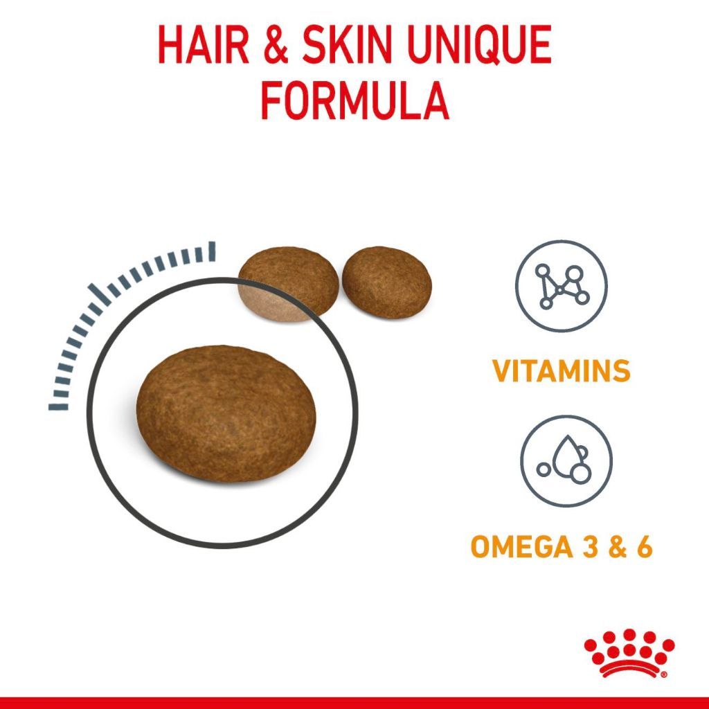 Royal Canin Hair & Skin Care Adult (2kg) Dry Cat Food Makanan Kucing - Feline Care Nutrition