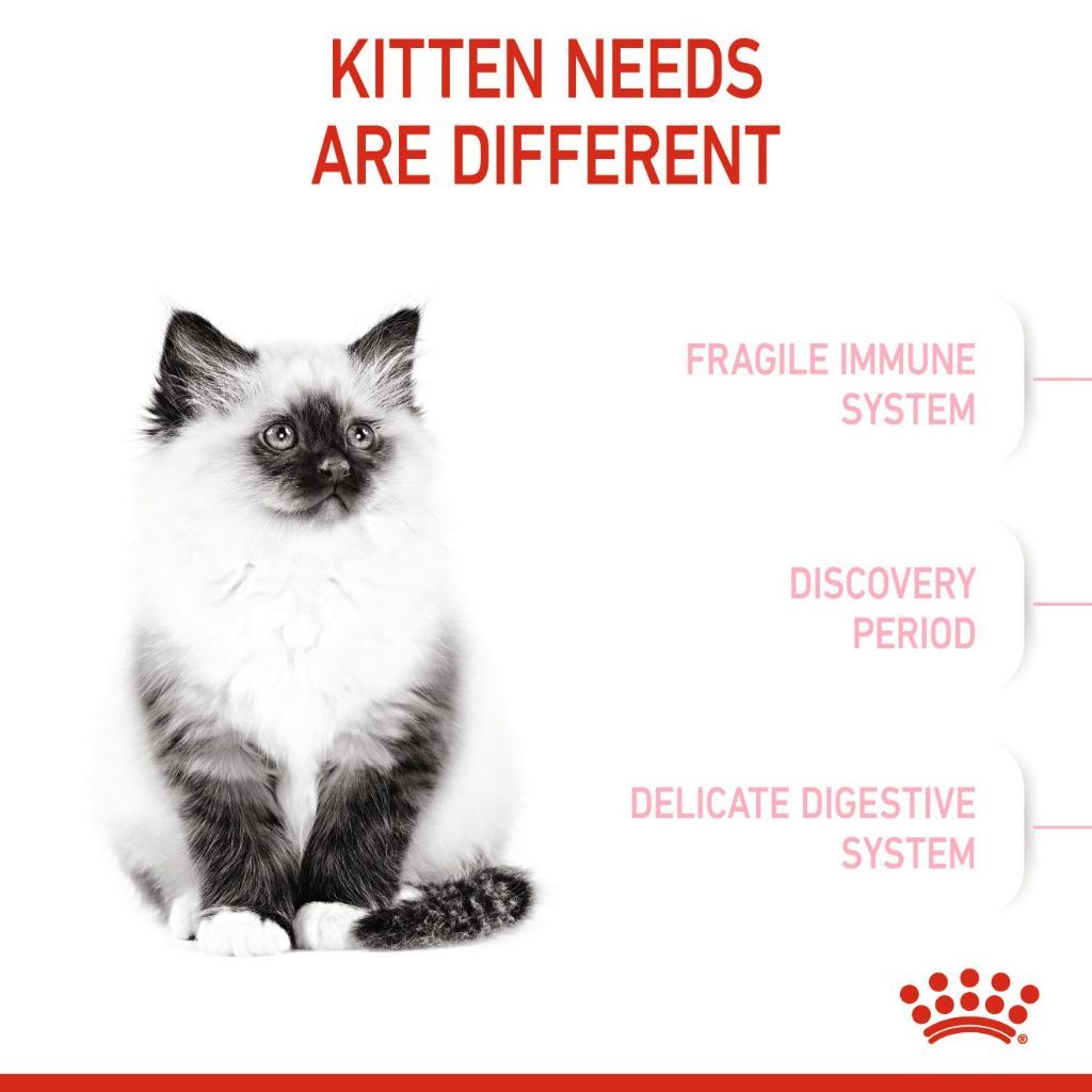 Royal Canin Kitten (2kg) Dry Cat Food Makanan Anak Kucing - Feline Health Nutrition