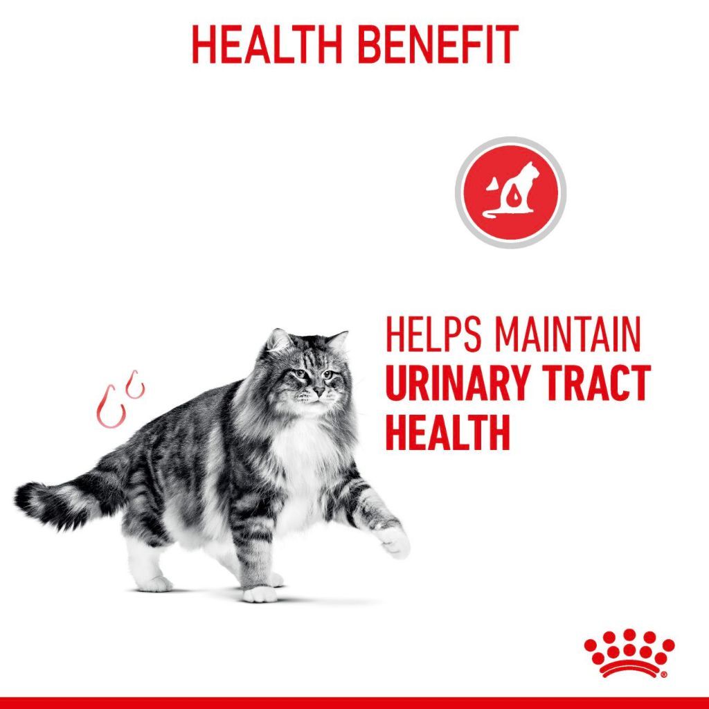 Royal Canin Urinary Care Adult (2kg) Dry Cat Food Makanan Kucing - Feline Care Nutrition