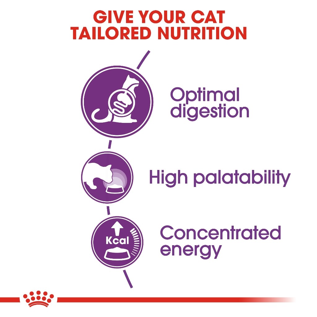 Royal Canin Sensible 33 Adult (400g) Dry Cat Food Makanan Kucing - Feline Health Nutrition