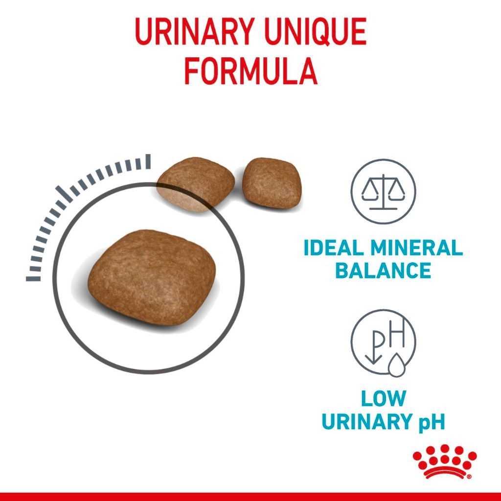 Royal Canin Urinary Care Adult (2kg) Dry Cat Food Makanan Kucing - Feline Care Nutrition