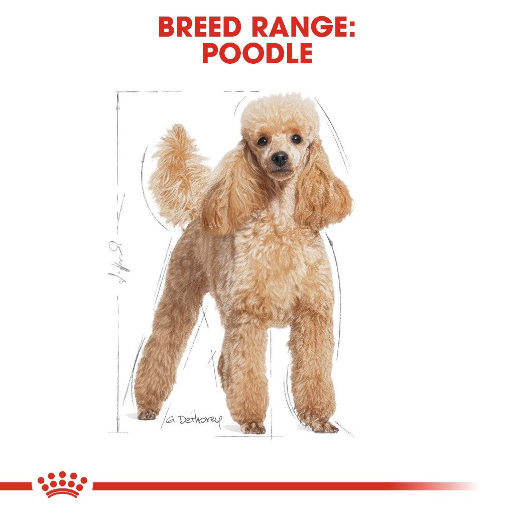 Royal Canin Poodle Adult (3kg) Dry Dog Food Makanan Anjing - Breed Health Nutrition