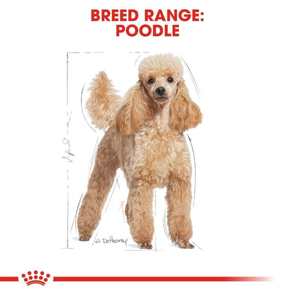 Royal Canin Poodle Adult (3kg) Dry Dog Food Makanan Anjing - Breed Health Nutrition