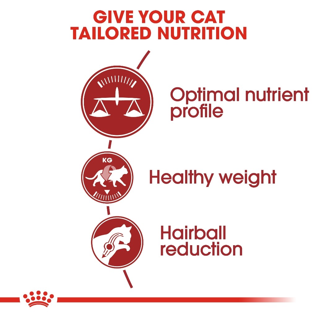 Royal Canin Fit 32 Adult (2kg) Dry Cat Food Makanan Kucing - Feline Health Nutrition
