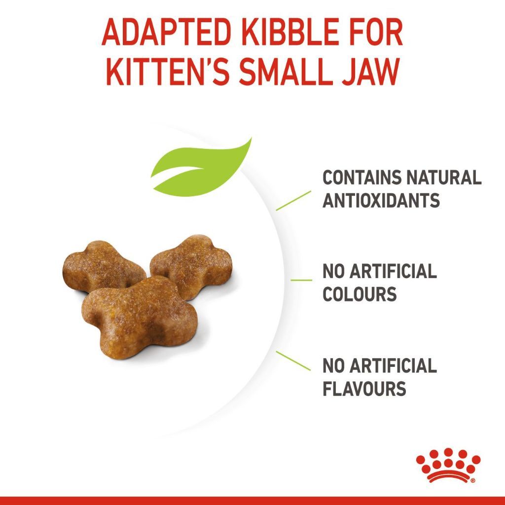 Royal Canin Kitten (2kg) Dry Cat Food Makanan Anak Kucing - Feline Health Nutrition