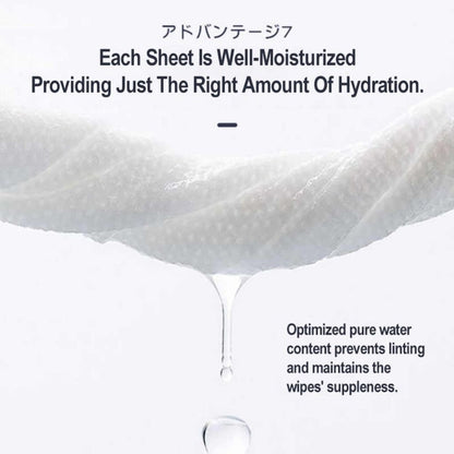 80pcs Pet Wet Wipes for Malaysia Humid Climate: Antibacterial Ag+ Silver Tissue