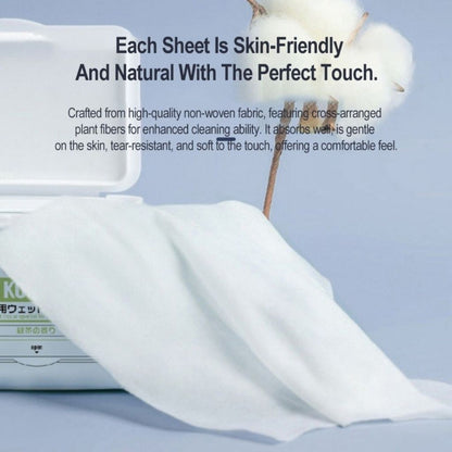 80pcs Pet Wet Wipes for Malaysia Humid Climate: Antibacterial Ag+ Silver Tissue