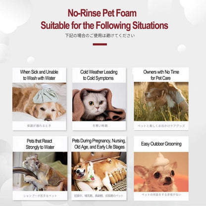KOJIMA Anti-Mite Waterless Grooming Kit: No-Rinse Gloves for Cats & Dogs