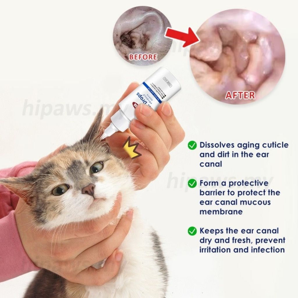 KOJIMA 2-Piece Ear Care Set: 50ml Drops + Essential Oil Cotton Buds
