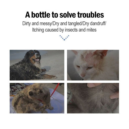 KOJIMA Amino Acid Pet Shampoo: Anti-Flea & Hair Loss Treatment
