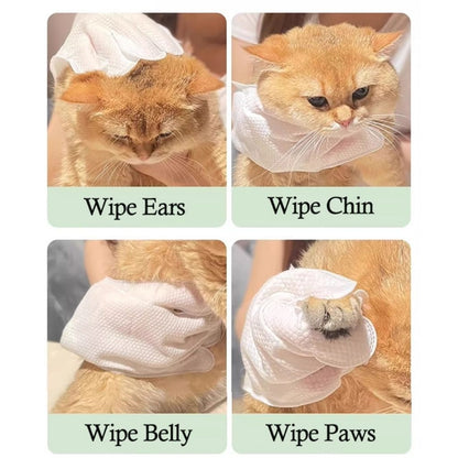 KOJIMA Fragrance-Free Waterless Grooming Kit: Biodegradable Gloves & Shampoo