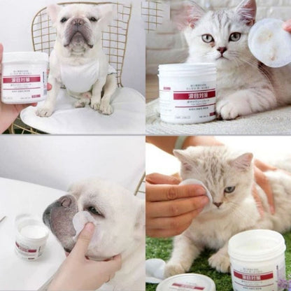 KOJIMA 120pcs Tear Stain Wipes: Ear Mite Cleaning for Cats & Dogs