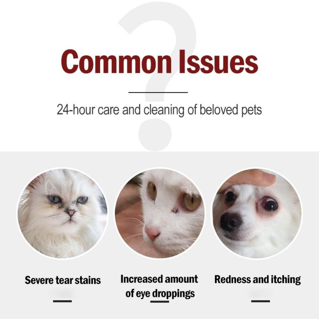 KOJIMA 120pcs Tear Stain Wipes: Ear Mite Cleaning for Cats & Dogs
