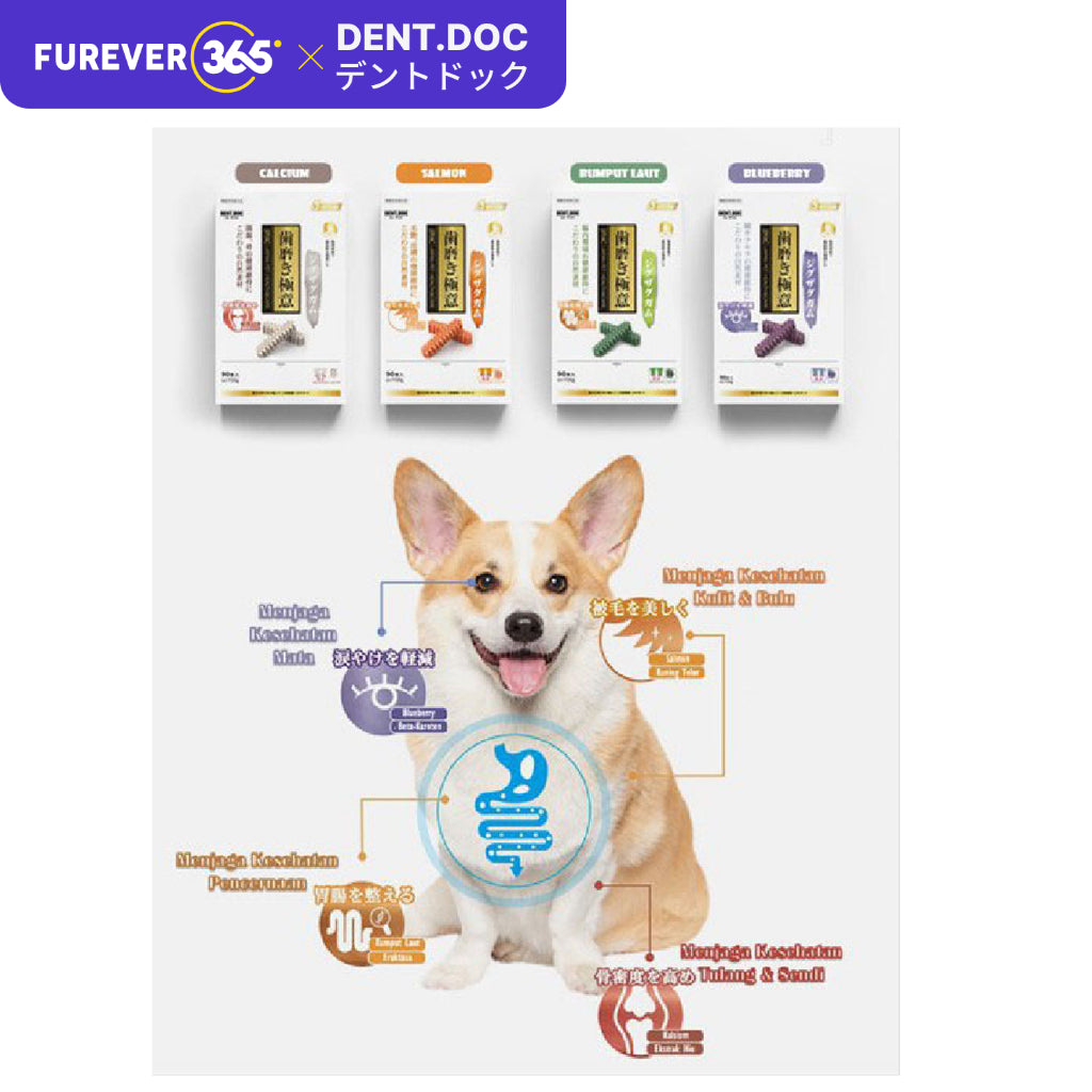 DentDoc Natural Dental Chew Stick: 10 Flavors for Dog Teeth Grinding