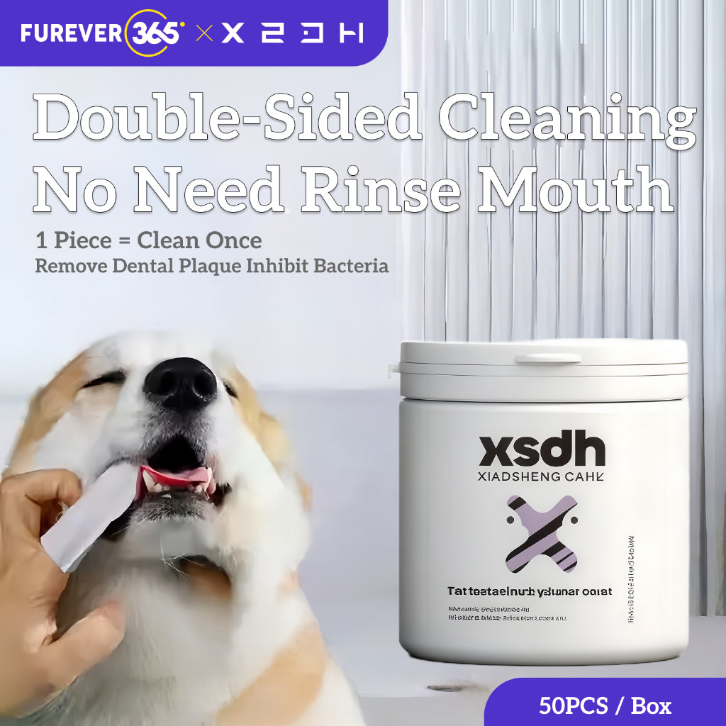 KOJIMA Ag+ Silver Ion Pet Wet Tissue: Antibacterial Wipes for Cats & Dogs 80pcs