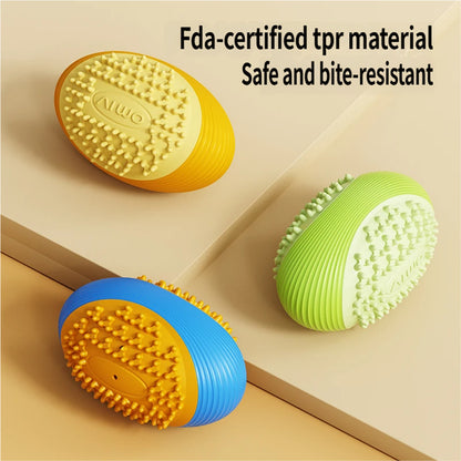 AIWO TPR Squeaky Ball Toy: Bite-Resistant Teeth Cleaning Chew for Dogs