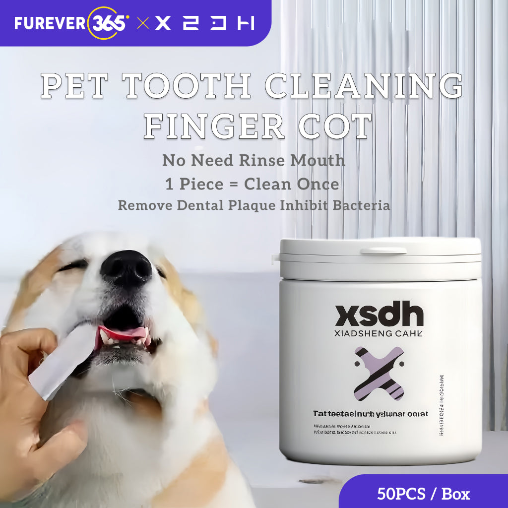 XSDH 50pcs Dental Finger Wipes: No-Rinse Teeth Cleaning Pads for Pets