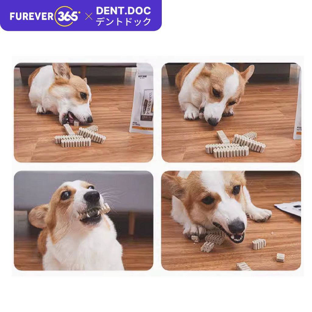 DentDoc 45pcs Premium Dog Chewing Stick: 4-Flavor Rawhide Dental Treats